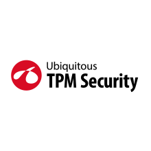 Ubiquitous TPM Security